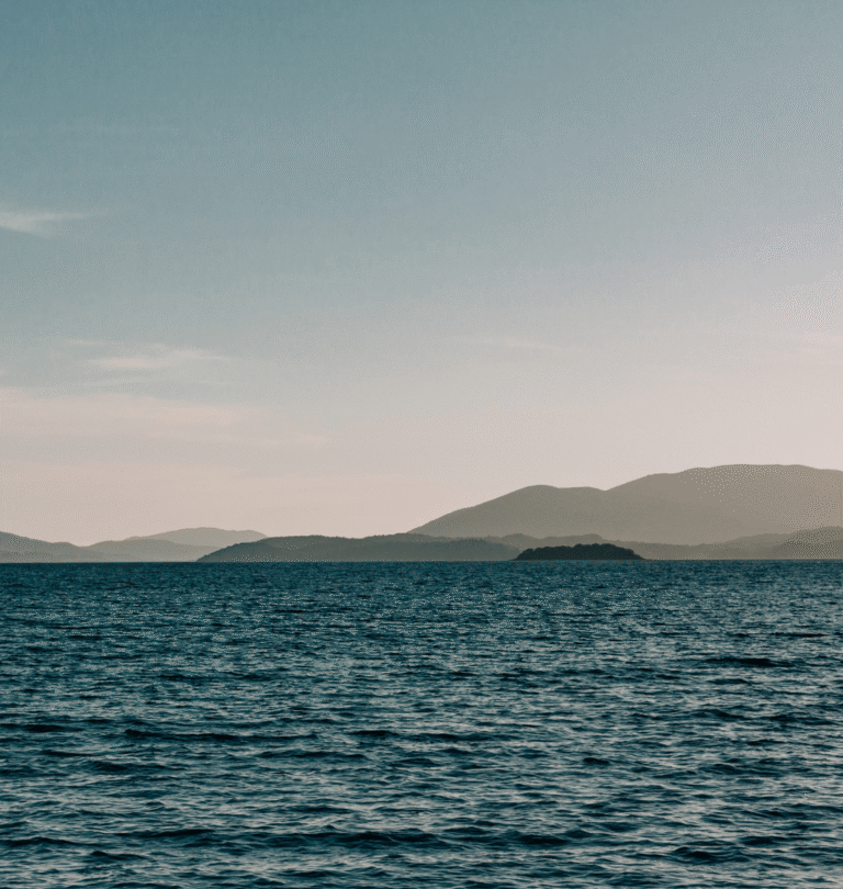 Vitamin Sea: The Science Behind Why the Ocean Heals Your Nervous System