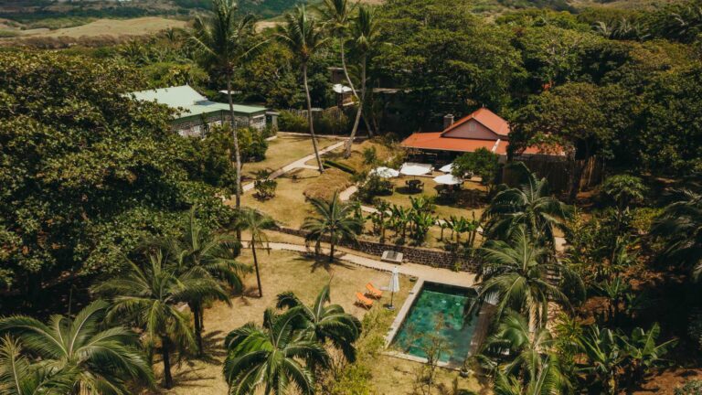 Return to Joy: A Transformational Retreat in Mauritius